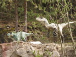Foto: Velociraptor