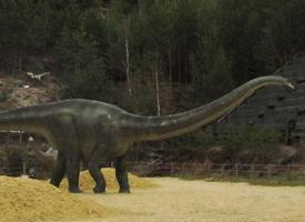 Foto: Diplodocus