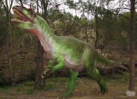 Foto: Allosaurus