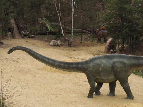 Foto: Diplodocus