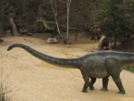 Foto: Diplodocus