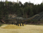 Foto: Diplodocus