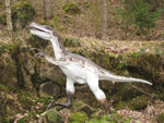 Foto: Velociraptor