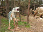 Foto: Velociraptor