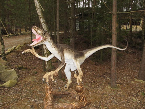 Foto: Velociraptor