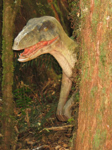 Foto: Velociraptor