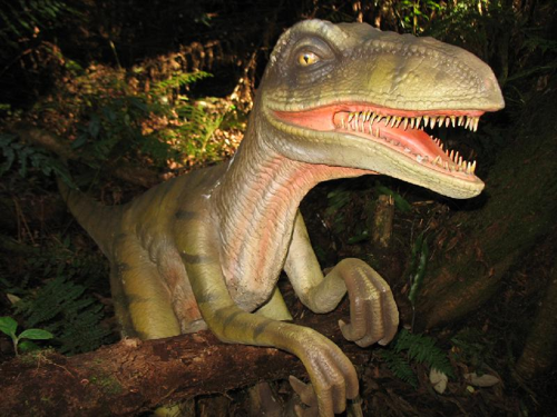 Foto: Velociraptor