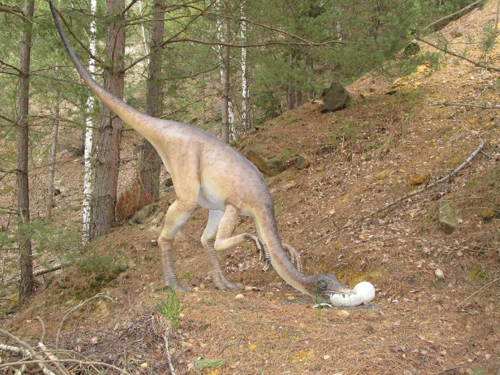 Foto: Ornithomimus