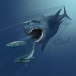 Foto: Megalodon