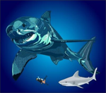 Foto: Megalodon