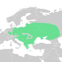 Foto: European green toad - výskyt