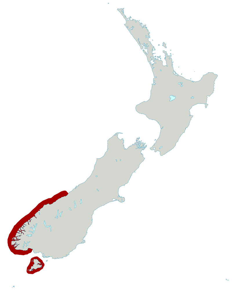 Foto: Fiordland penguin - výskyt