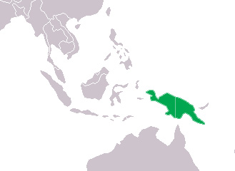 Foto: New guinea crocodile - výskyt
