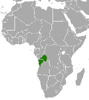 Foto: Angolan talapoin - výskyt
